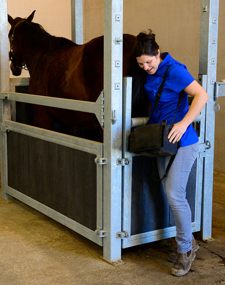 Cyclus opvolging merrie